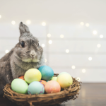 garde lapin vacances